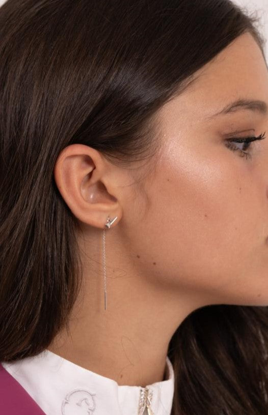 COPPIA LUNGHINA CHIODO